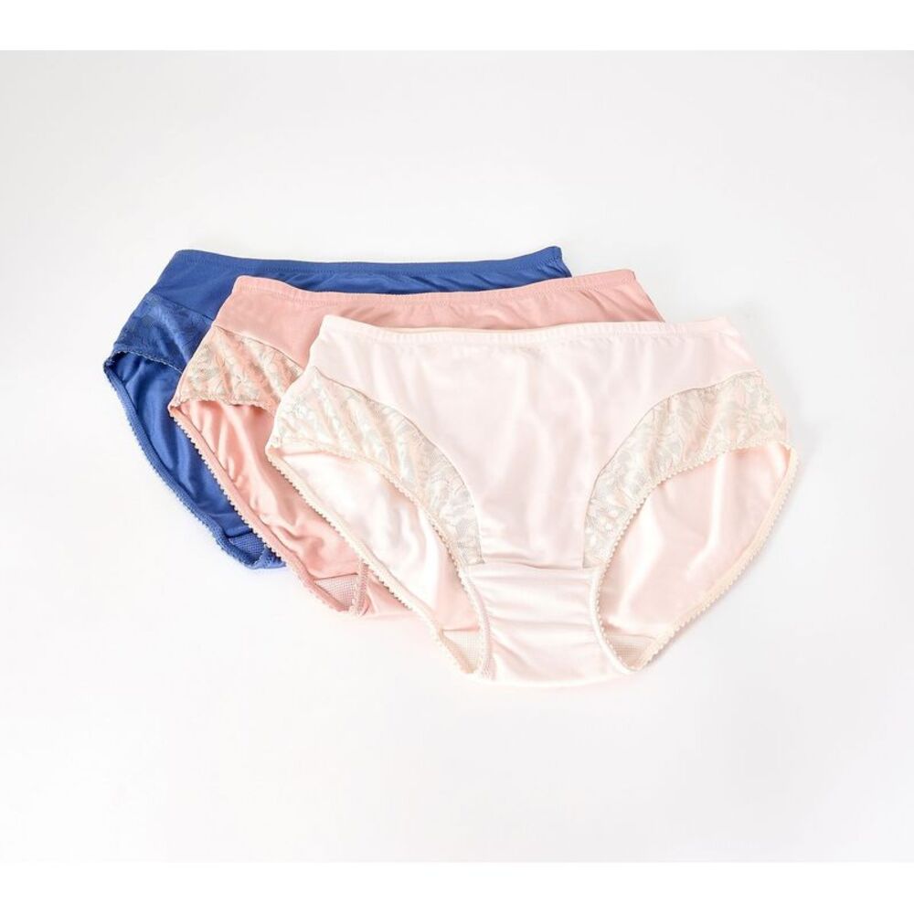 Breezies Women's Panties Sz L Whisper Lace Hi-Cut Panty Brown Smooth